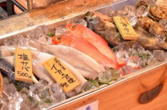 旬の魚料理